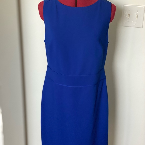 The Limited Dress - Picture 1 of 2